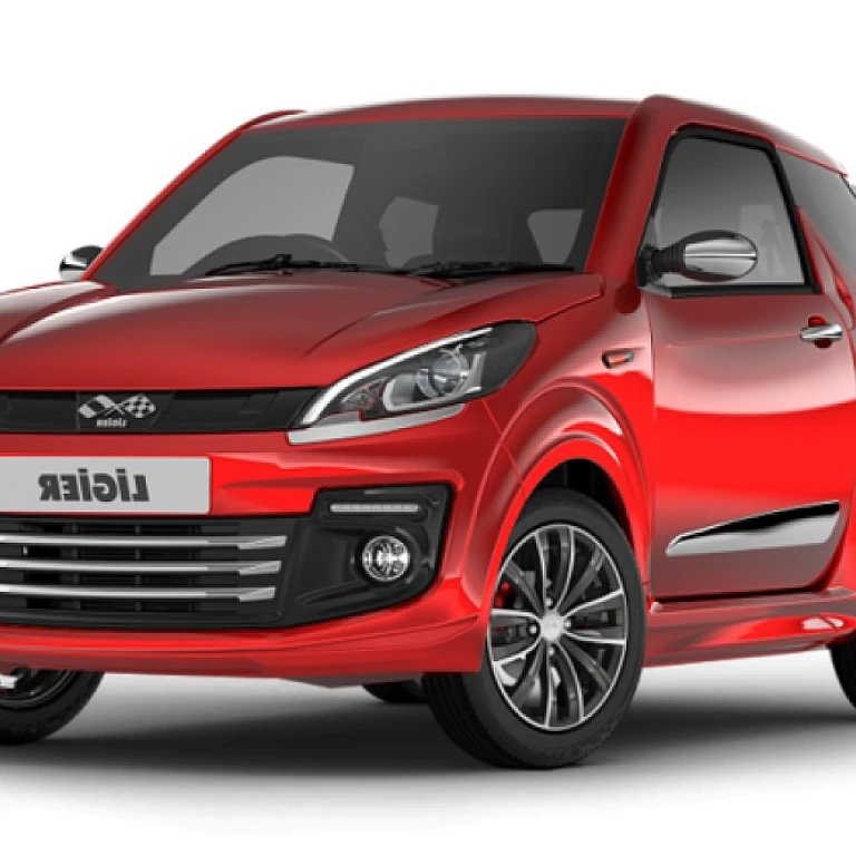 Opportunités de location de voitures sans permis