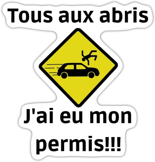 A Permis Voiture Drôle - A Pour Jeune Conducteur Humour - Cadeau Pour Apprenti Humoristique Autocollant/Sticker, 10 x 10 cm, blanc mat